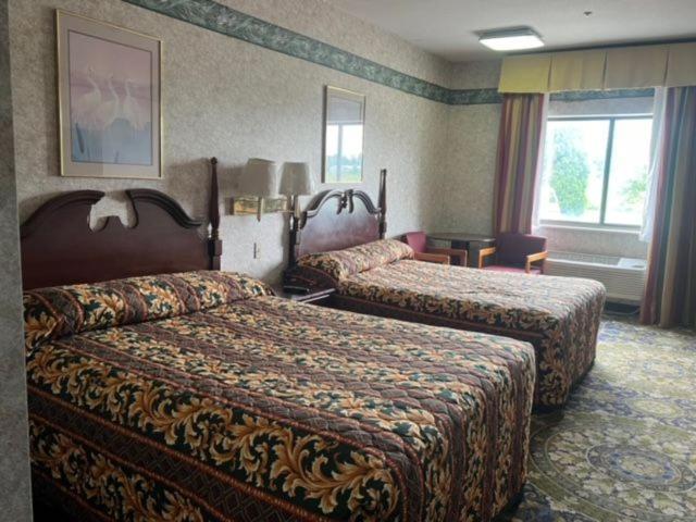 Garden Inn New Castle Eksteriør billede